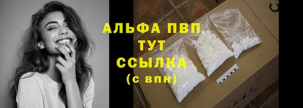 соль ск Новодвинск