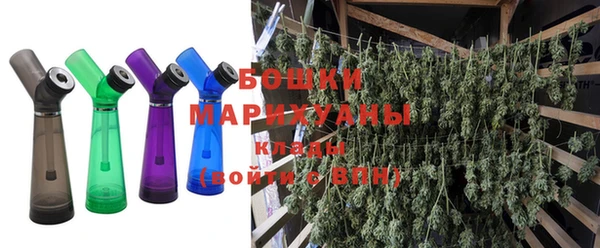 стафф Осташков