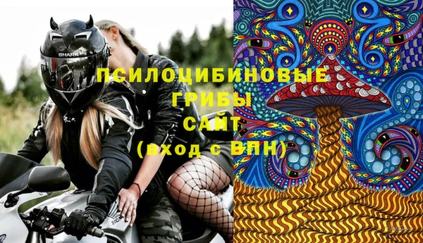 амф Заволжск